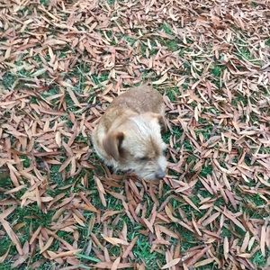 Meet your Posher, May